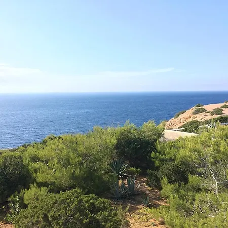 Carpe Diem * San Antonio (Ibiza)